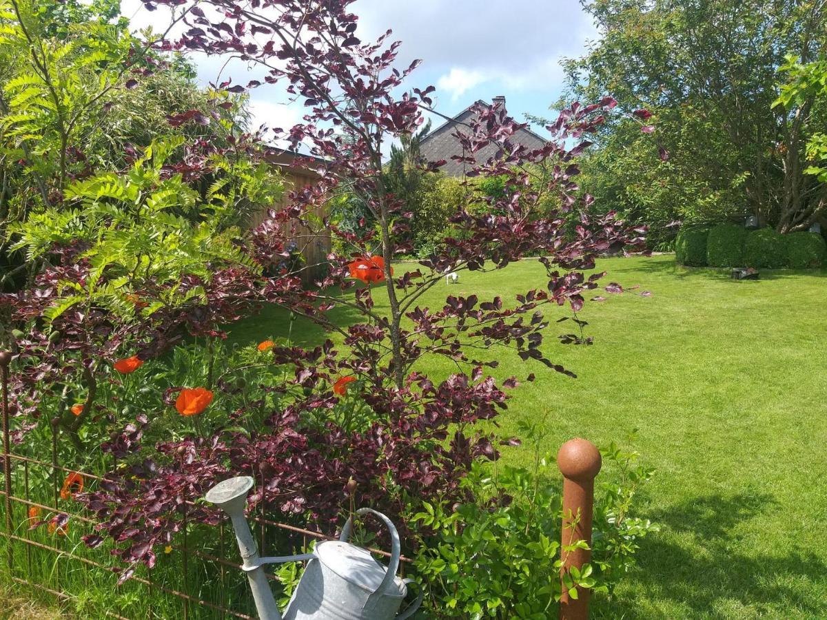 B&B Le Perchoir Libin Buitenkant foto